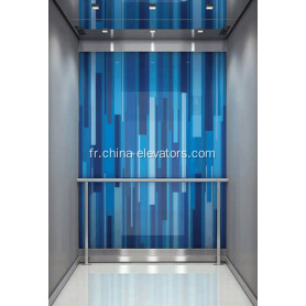 Petits ascenseurs de passager de grande vitesse de salle des machines CEP5000
